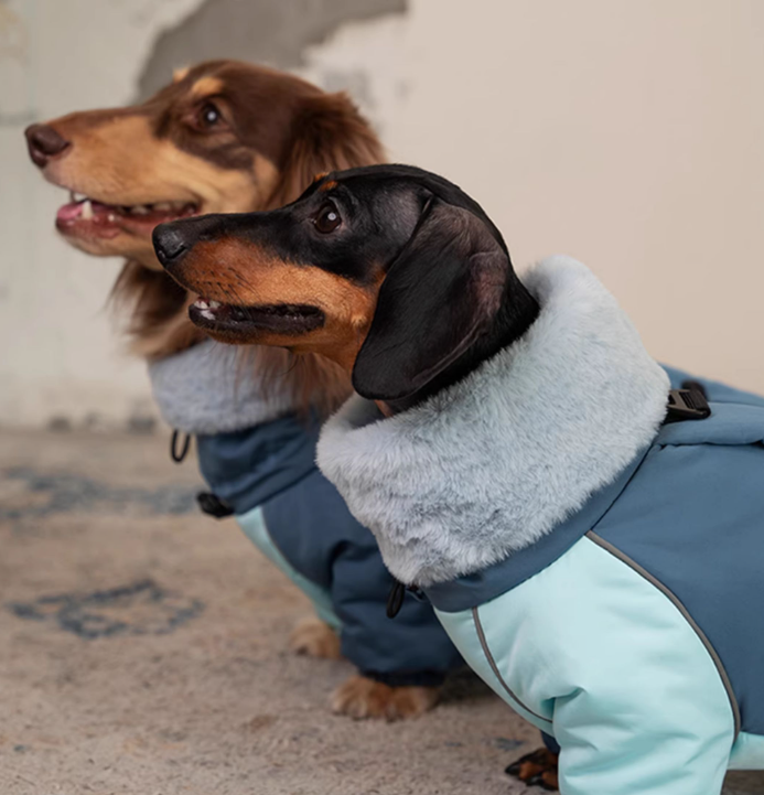 KFX-3270845 Warm Lambswool Cotton-Padded Jacket for Dogs - Autumn and Winter Four-Leg Design