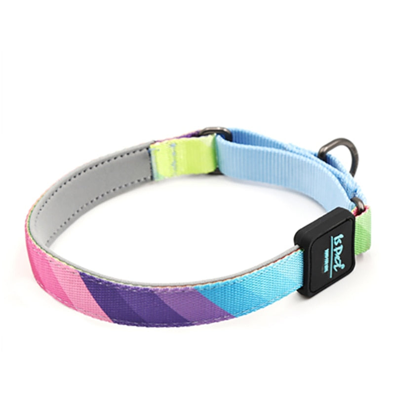 KFX-3274045 Durable Nylon Dog Collar in Vibrant Colors for Small to Large Pets