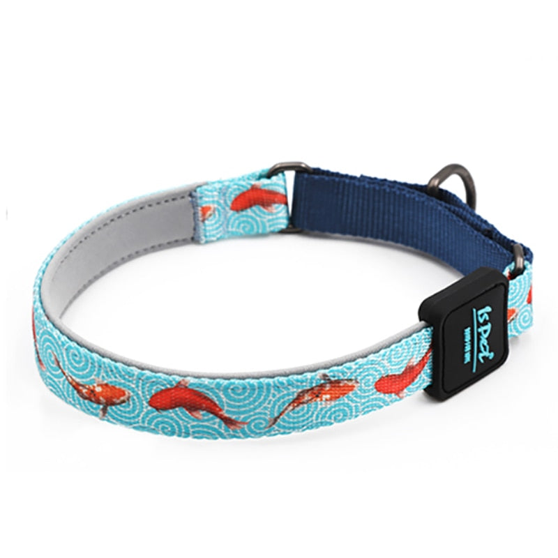 KFX-3274045 Durable Nylon Dog Collar in Vibrant Colors for Small to Large Pets