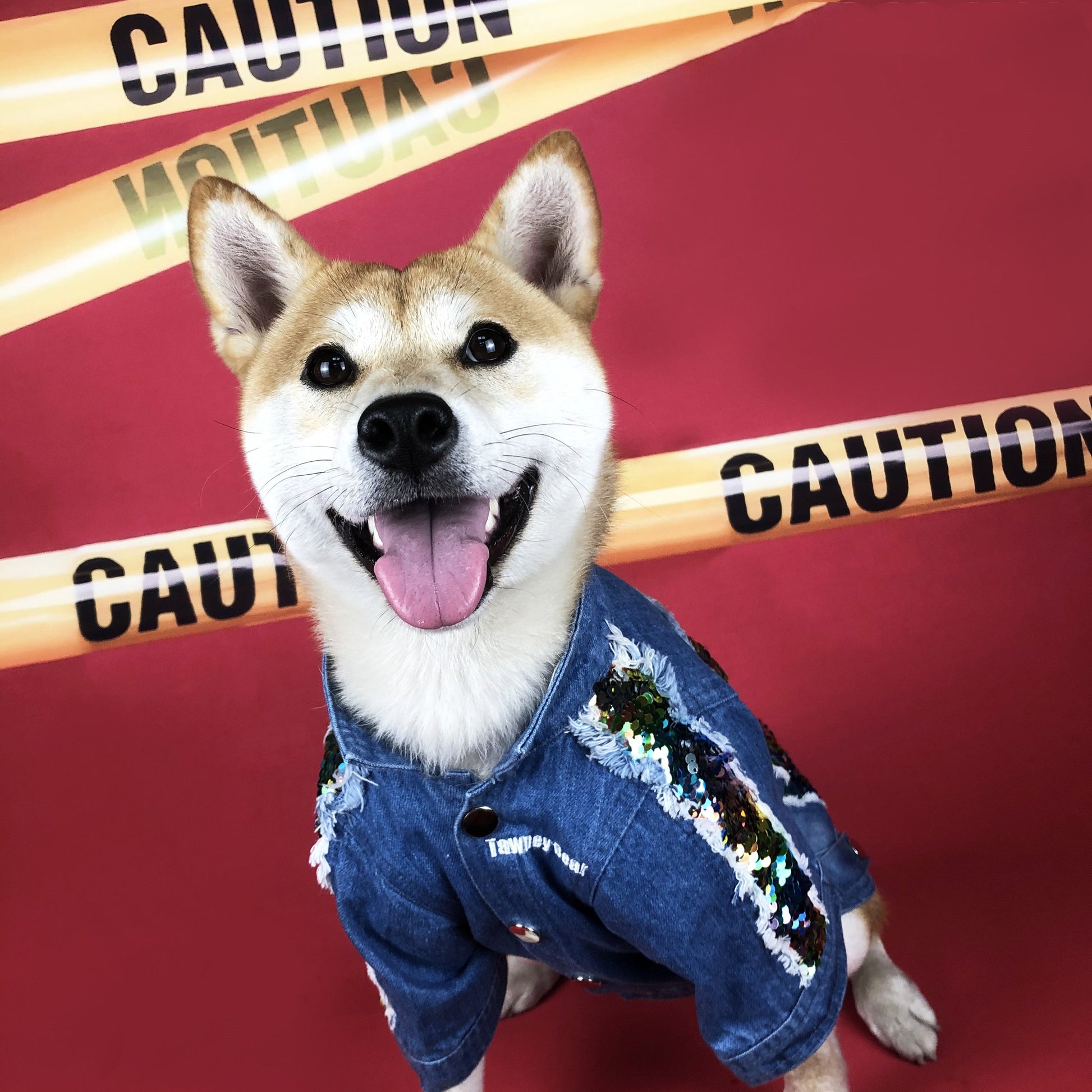 KFX-3274429 Sequin Denim Dog Jacket in Black and Blue for Small, Medium, and Large Dogs