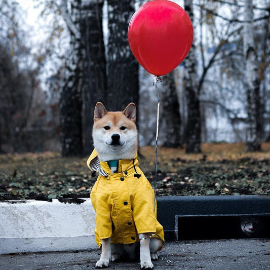 KFX-3279421 Padded Waterproof Dog Raincoat with Retro British Style in Yellow