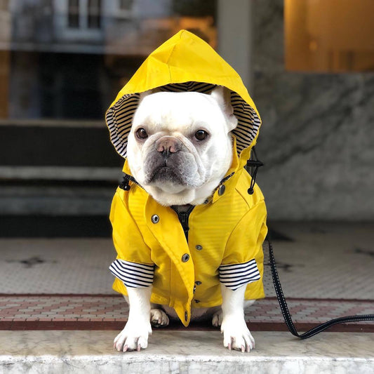 KFX-3279421 Padded Waterproof Dog Raincoat with Retro British Style in Yellow