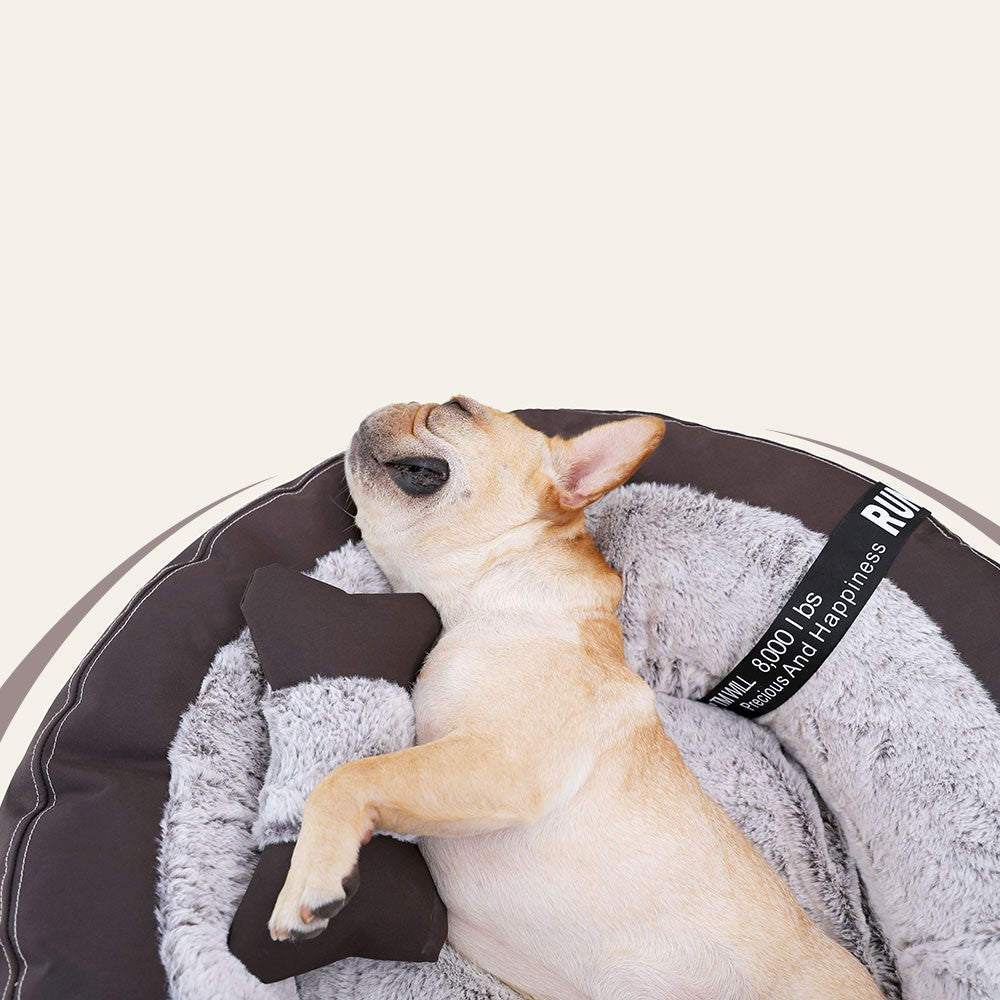 KFX-3281853 Cozy Deep Sleep Bed for Small to Medium Dogs - S: 50x50x20 cm, M: 70x70x25 cm