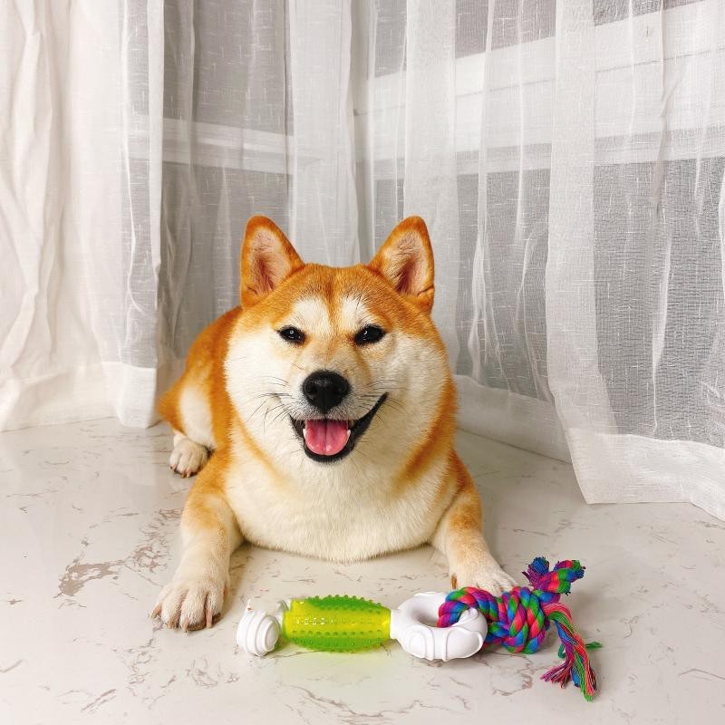 KFX-3282621 Interactive Double Knot Barbed Molar Rope Toy for Shiba Inu - 28cm