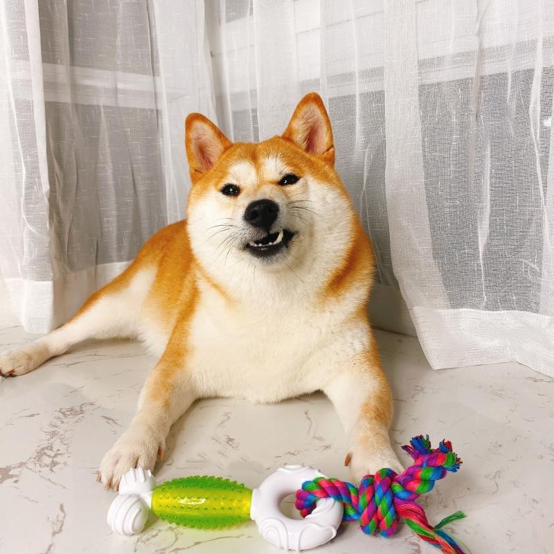 KFX-3282621 Interactive Double Knot Barbed Molar Rope Toy for Shiba Inu - 28cm