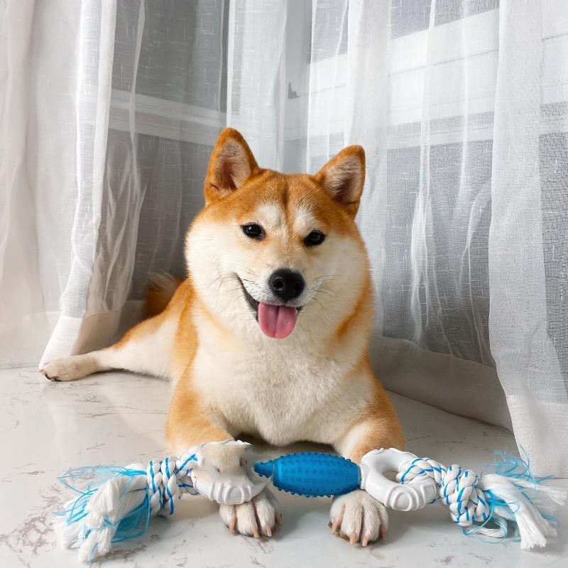 KFX-3282621 Interactive Double Knot Barbed Molar Rope Toy for Shiba Inu - 28cm