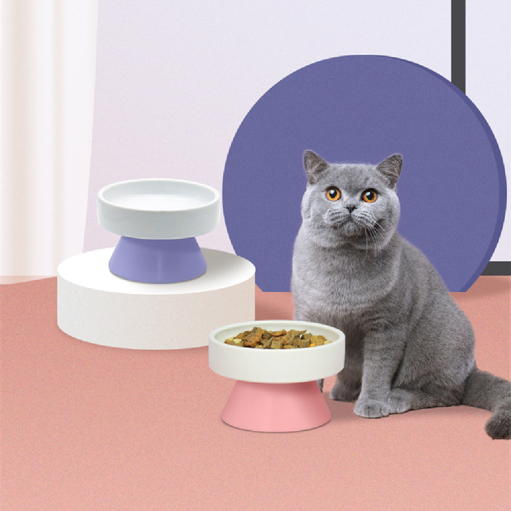 KFX-3287741 Ceramic Elevated Cat Water Bowl with Wide Mouth Design