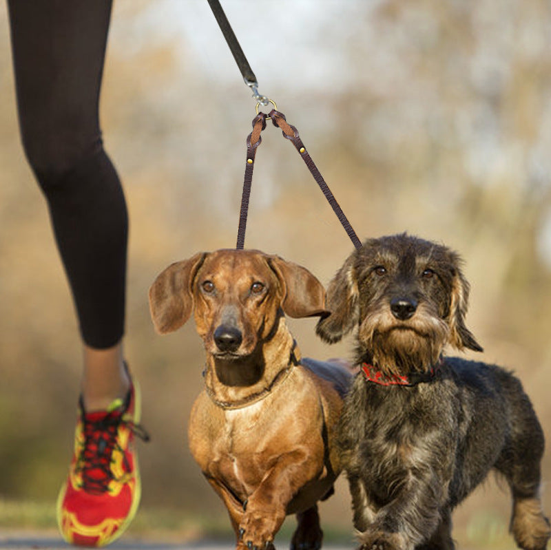 KFX-3298877 Cowhide Leather Double Hook Traction Rope for Two Dogs - 70CM Length, Soft and Durable Design