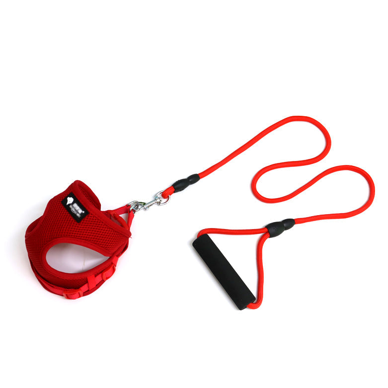 KFX-3301053 Adjustable Dog Leash and Collar Set – Mesh, Nylon, Foam – Round Rope Strap – Fits Bust 35-50cm – Ideal for Pets 4-10kg