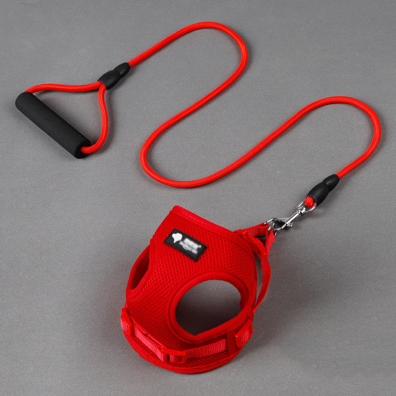 KFX-3301053 Adjustable Dog Leash and Collar Set – Mesh, Nylon, Foam – Round Rope Strap – Fits Bust 35-50cm – Ideal for Pets 4-10kg