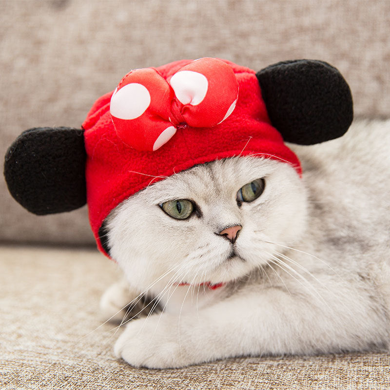 KFX-3303869 Cartoon Shaker Velvet Cat Dress Up Hat for Pets, Adjustable for 0-20 kg Cats