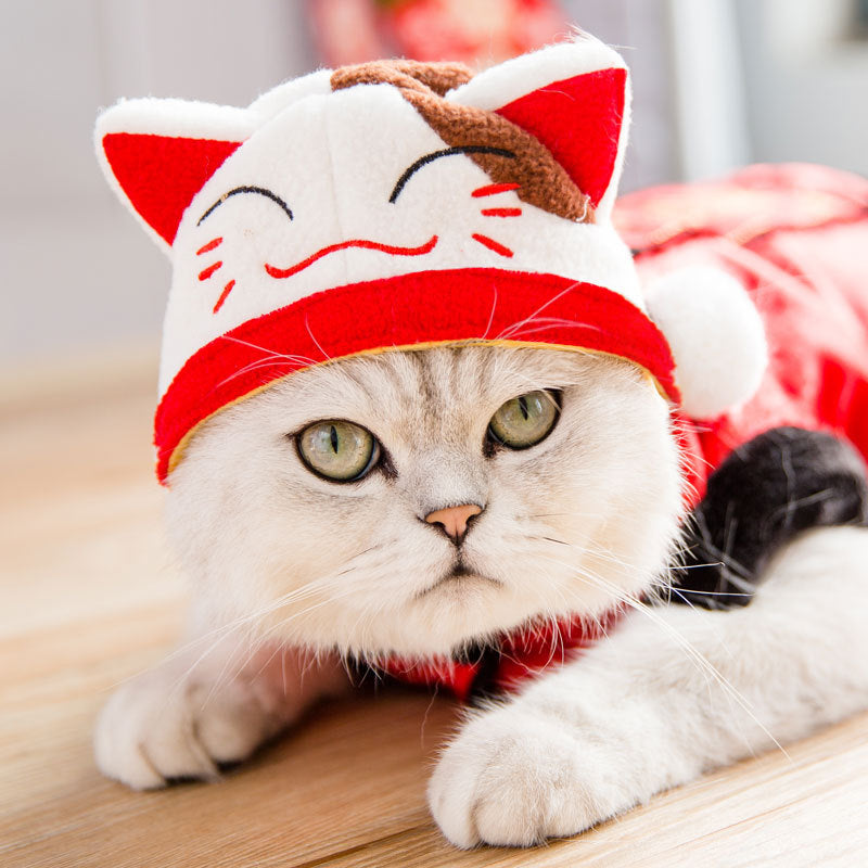 KFX-3303869 Cartoon Shaker Velvet Cat Dress Up Hat for Pets, Adjustable for 0-20 kg Cats