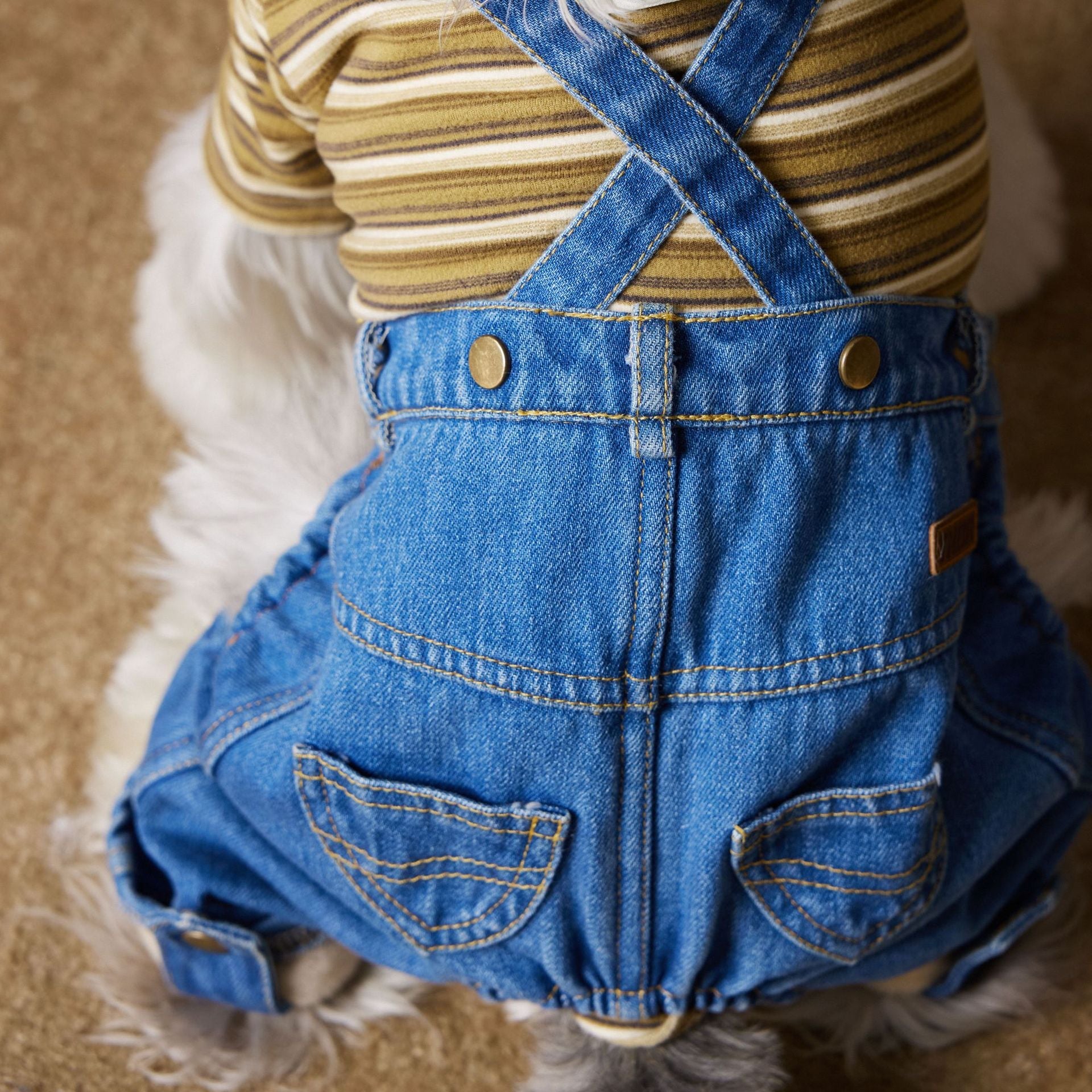 KFX-3304637 Fleece-Lined Denim Jeans for Dogs - Cozy Autumn & Winter Clothing for Small Breeds