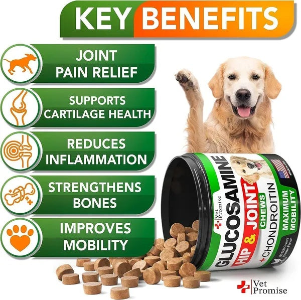 KFX-3304893 Dog Hip and Joint Supplement Chews with Glucosamine and Chondroitin - 240 Count