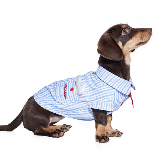 KFX-3310397 Cute Blue Summer Thin Shirt for Schnauzer Pets - Casual Wear