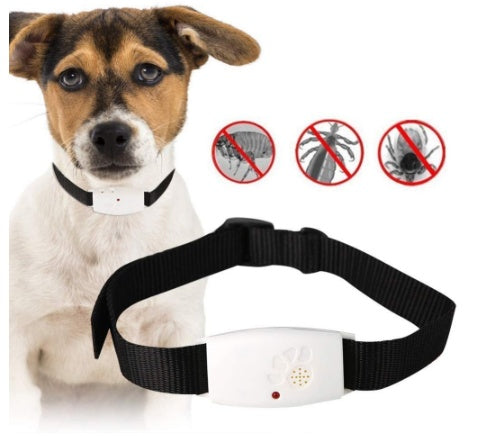 KFX-3312573 Ultrasonic Dog Insect Repeller with Adjustable Modes to Safeguard Pets from Pests