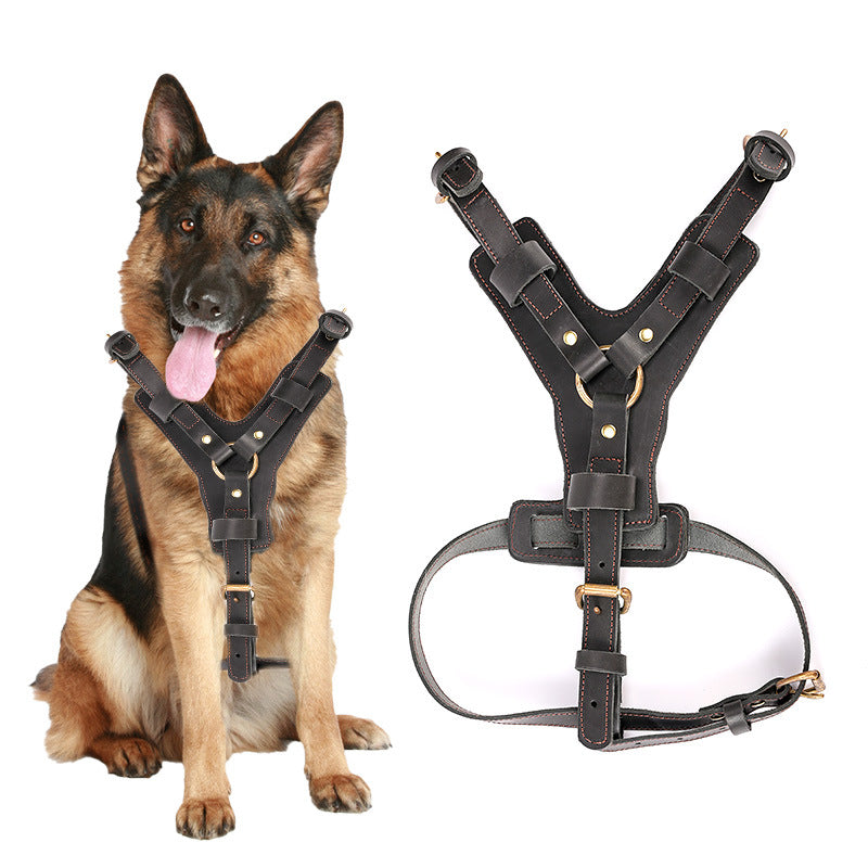 KFX-3319613 Cowhide Leather Dog Chest Harness with Automatic Traction Rope - Sizes for East German Doberman and Casro Dogo