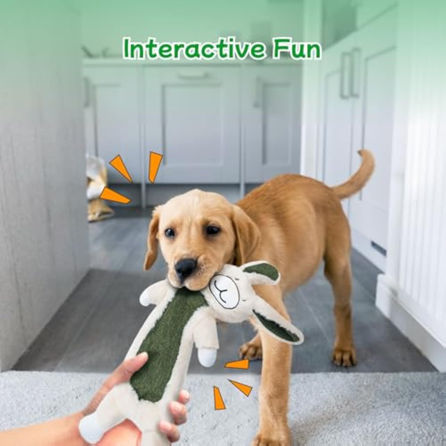KFX-3323581 No Stuffing Crinkle Plush Dog Toys for Interactive Play - Perfect for Heavy Chewers of All Sizes