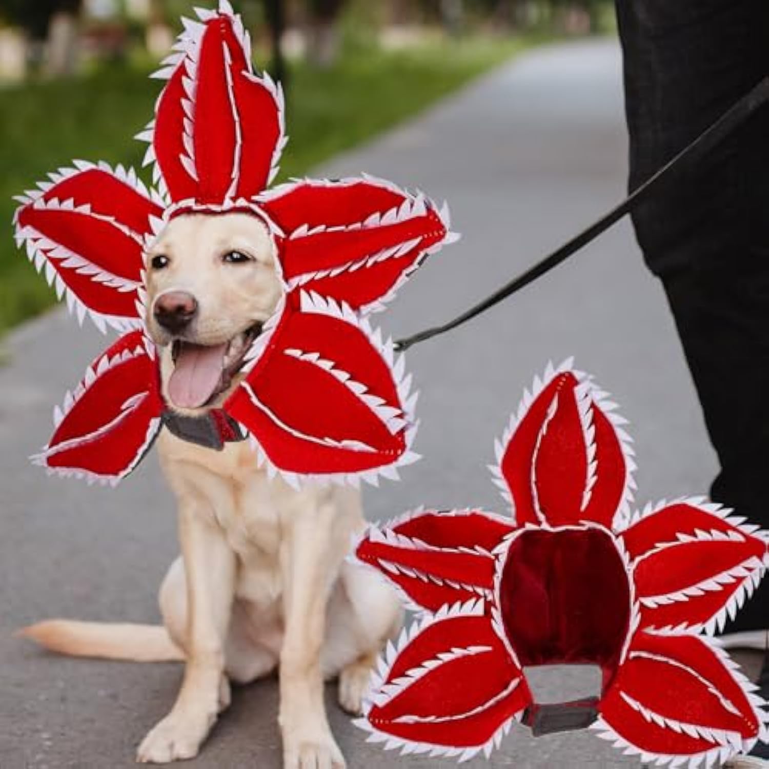 KFX-3329341 Pet Demon Costume Hat for Medium Dogs – Halloween Chomper Headband Cosplay Accessory