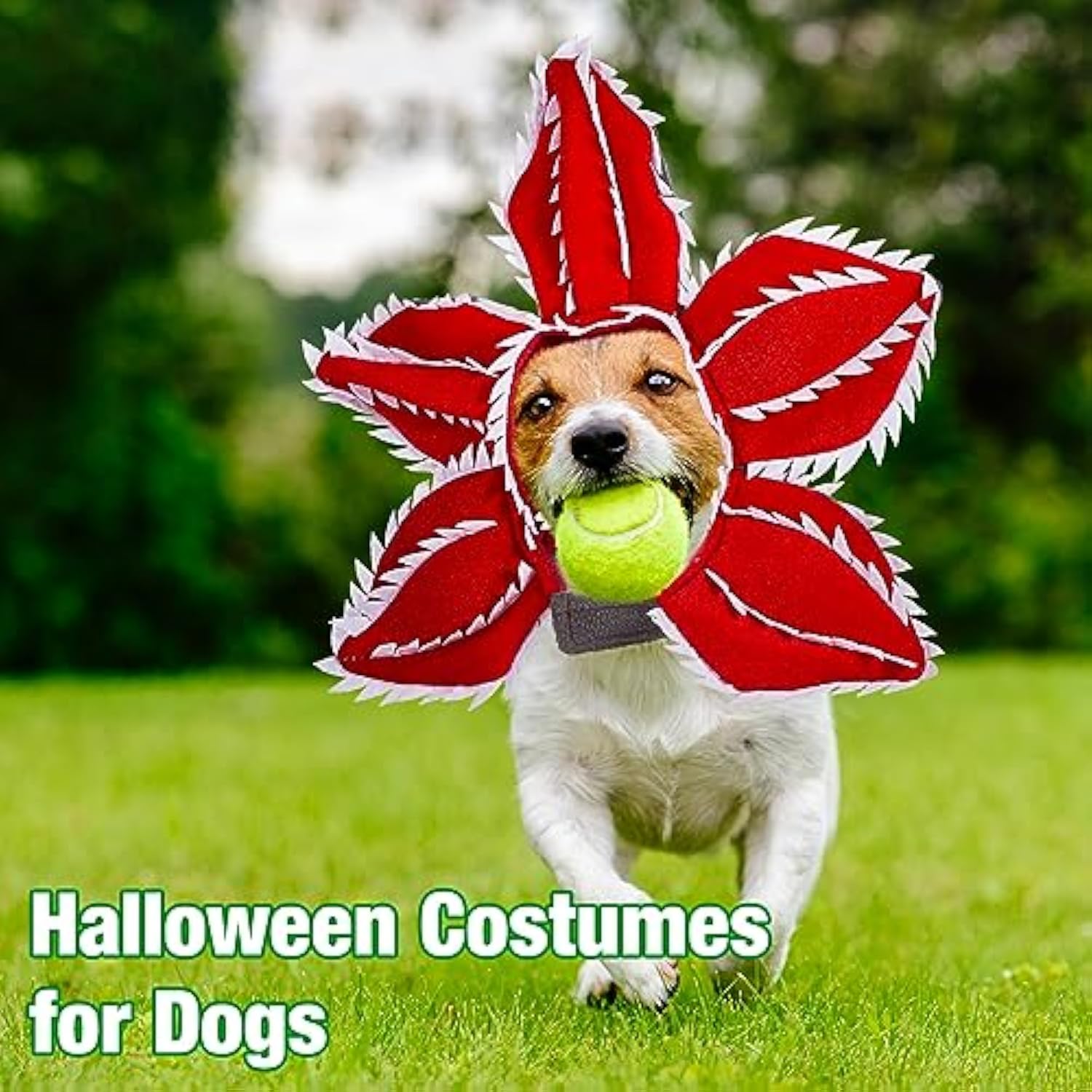 KFX-3329341 Pet Demon Costume Hat for Medium Dogs – Halloween Chomper Headband Cosplay Accessory