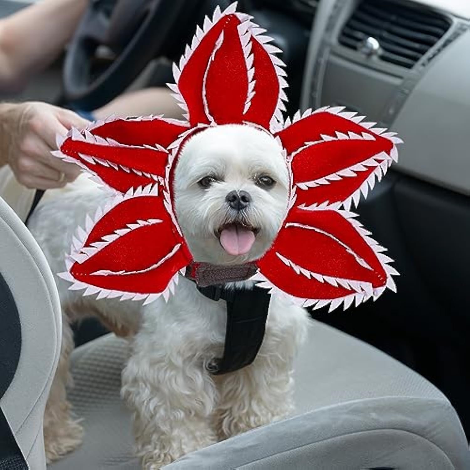 KFX-3329341 Pet Demon Costume Hat for Medium Dogs – Halloween Chomper Headband Cosplay Accessory