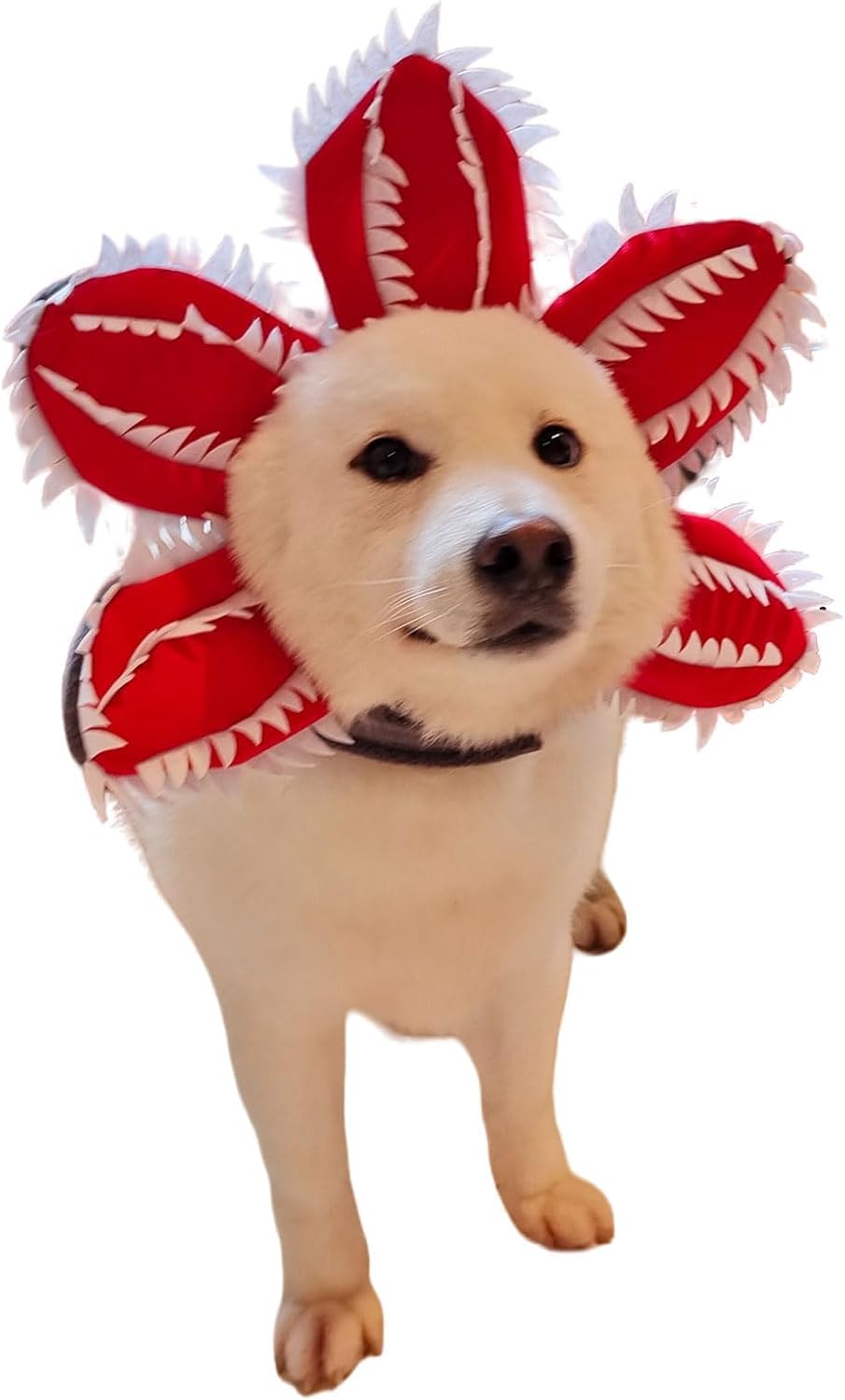 KFX-3329341 Pet Demon Costume Hat for Medium Dogs – Halloween Chomper Headband Cosplay Accessory
