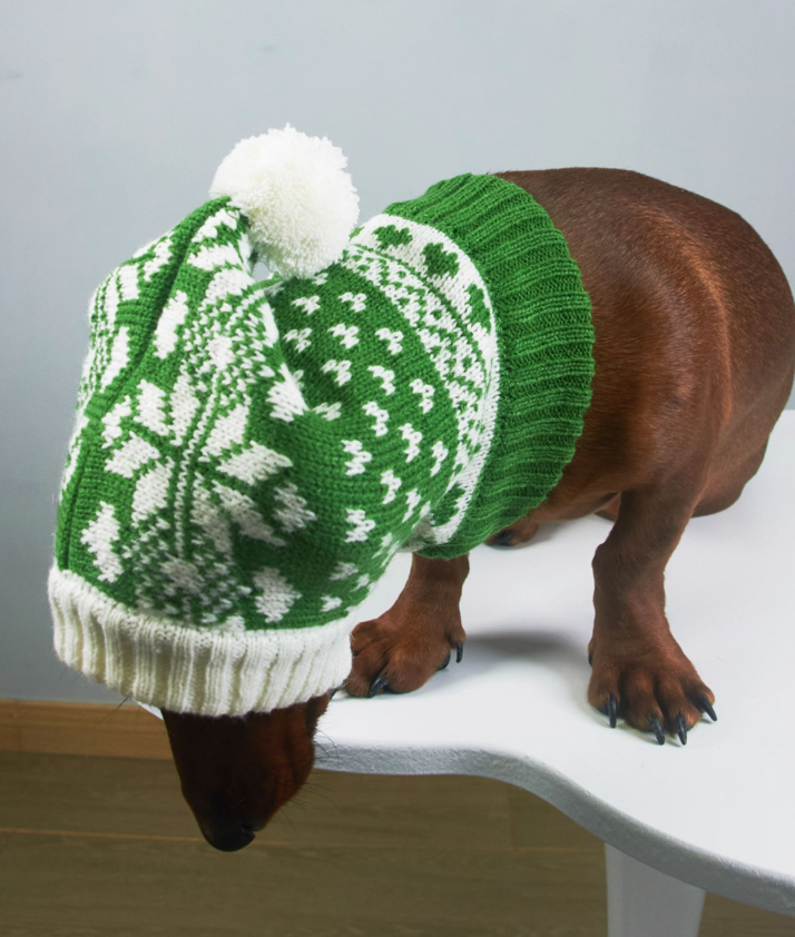 KFX-3330621 Knitted Wool Snowflake Hat for Pets - Warm Winter Casual Style in Various Sizes