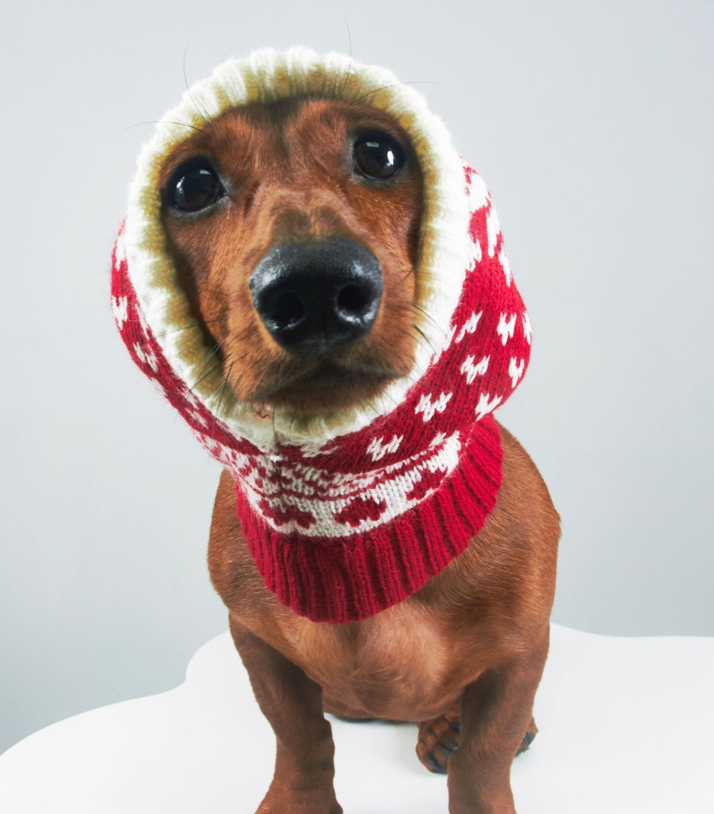 KFX-3330621 Knitted Wool Snowflake Hat for Pets - Warm Winter Casual Style in Various Sizes