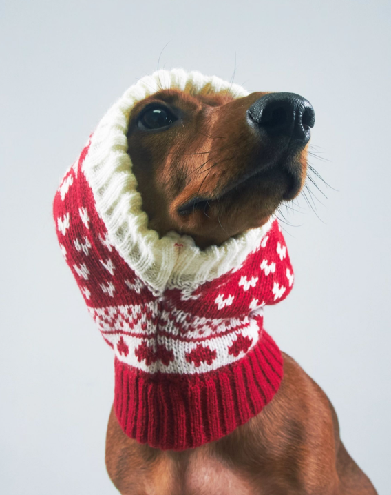 KFX-3330621 Knitted Wool Snowflake Hat for Pets - Warm Winter Casual Style in Various Sizes