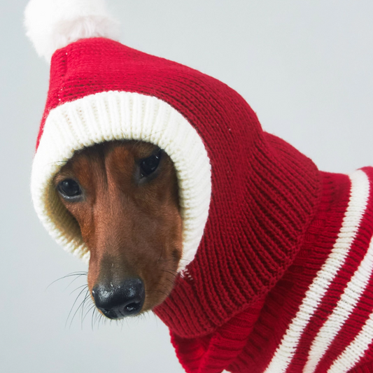 KFX-3330621 Knitted Wool Snowflake Hat for Pets - Warm Winter Casual Style in Various Sizes