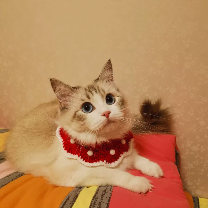 KFX-3333821 Cute Wool Knitted Cartoon Collar for Pets - Custom Size Options Available