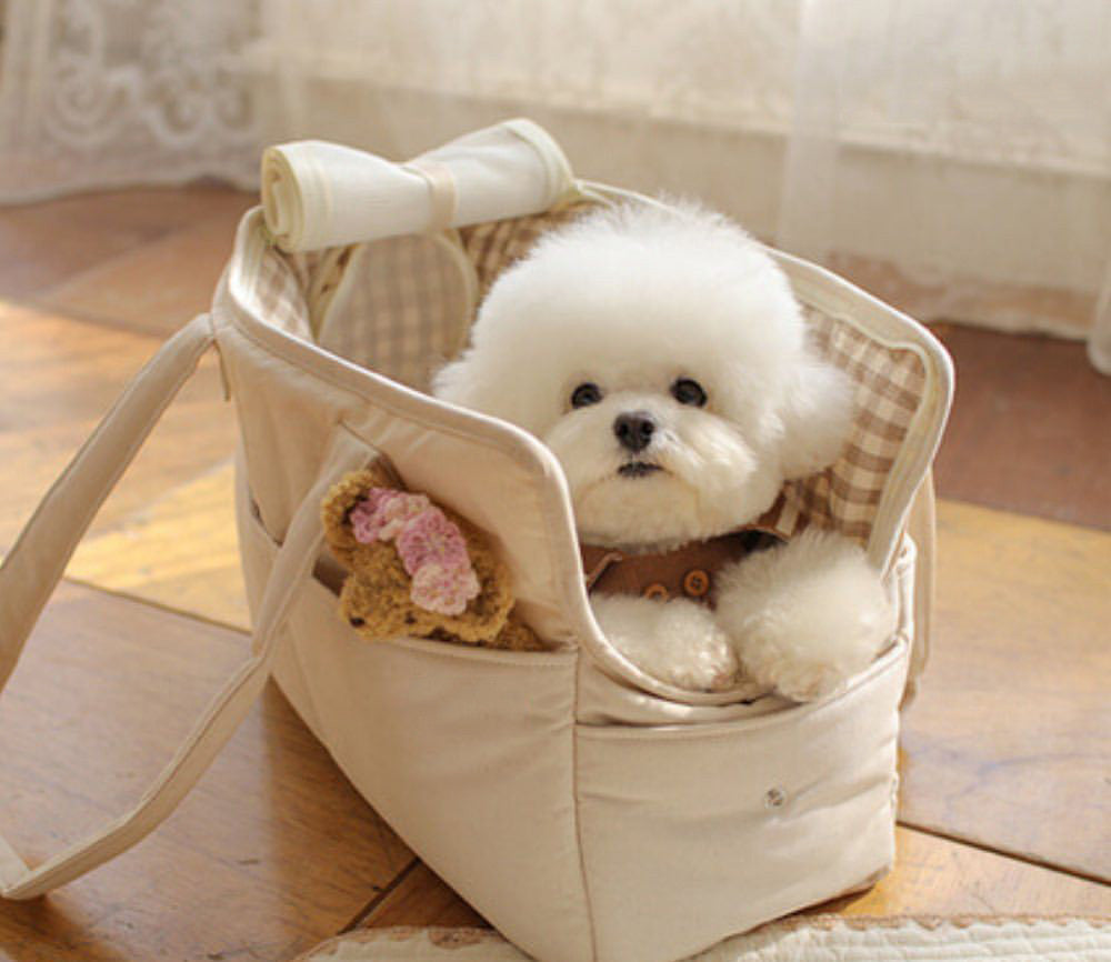 KFX-3334077 Portable Cat Carrier Bag with Headrest and Optional Accessories in Multiple Styles