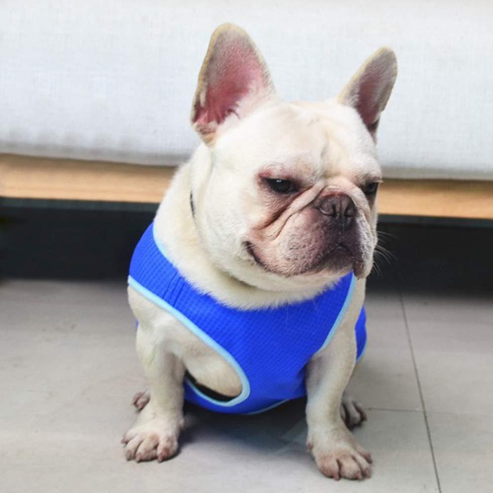 KFX-3335997 Blue Dog Cooling Vest - Sizes XS to L for Optimal Comfort