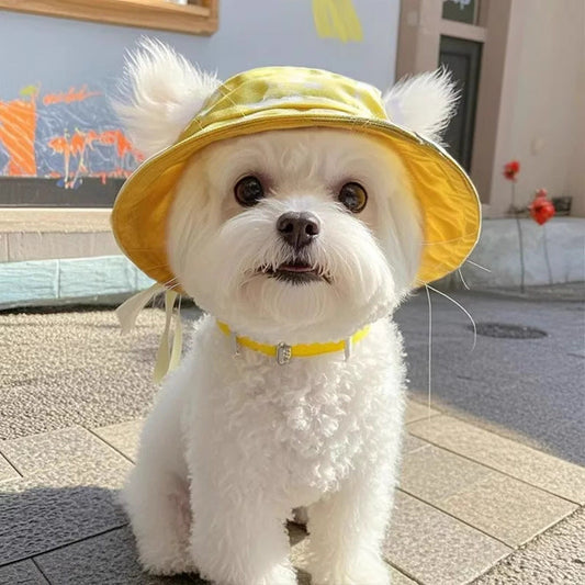KFX-3336637 Cute Summer Bucket Hat for Pets with Exposed Ears in Color Grid Patterns