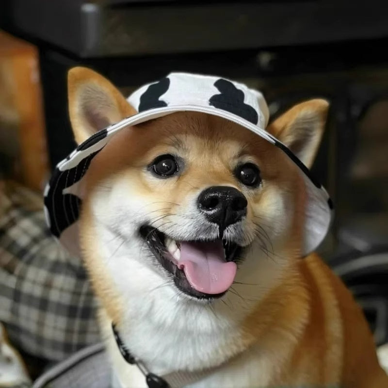 KFX-3336637 Cute Summer Bucket Hat for Pets with Exposed Ears in Color Grid Patterns