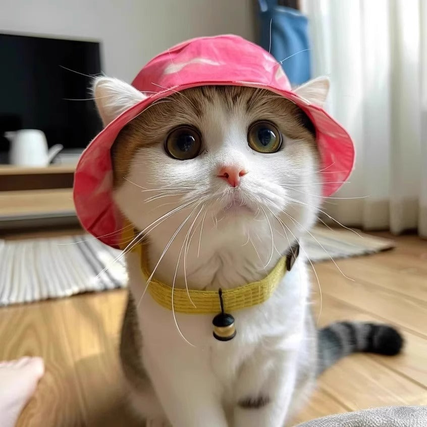 KFX-3336637 Cute Summer Bucket Hat for Pets with Exposed Ears in Color Grid Patterns
