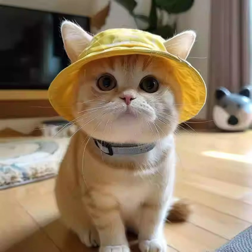 KFX-3336637 Cute Summer Bucket Hat for Pets with Exposed Ears in Color Grid Patterns