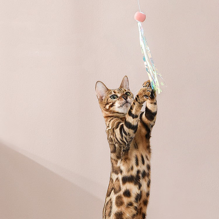 KFX-3338429 Adjustable Feather Teaser Stick with Gravity Bounce and Replaceable Heads for Cats