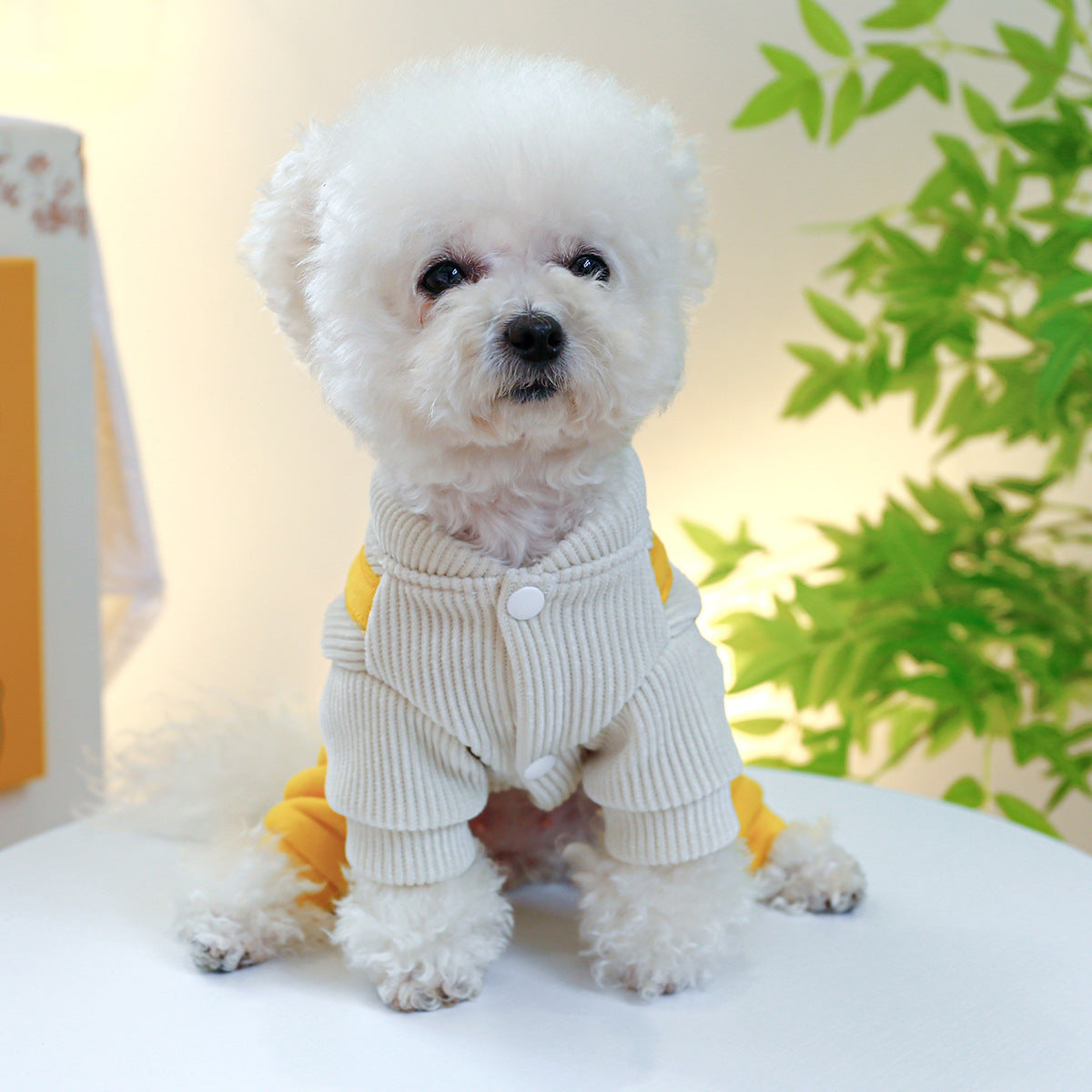 KFX-3341757 Cute Corduroy Little Tiger Suspender Pants for Dogs - Multiple Sizes Available