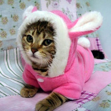 KFX-3342013 Cute Rabbit Pet Hoodie for Cats and Dogs - Fleece Warm Jacket in Various Sizes