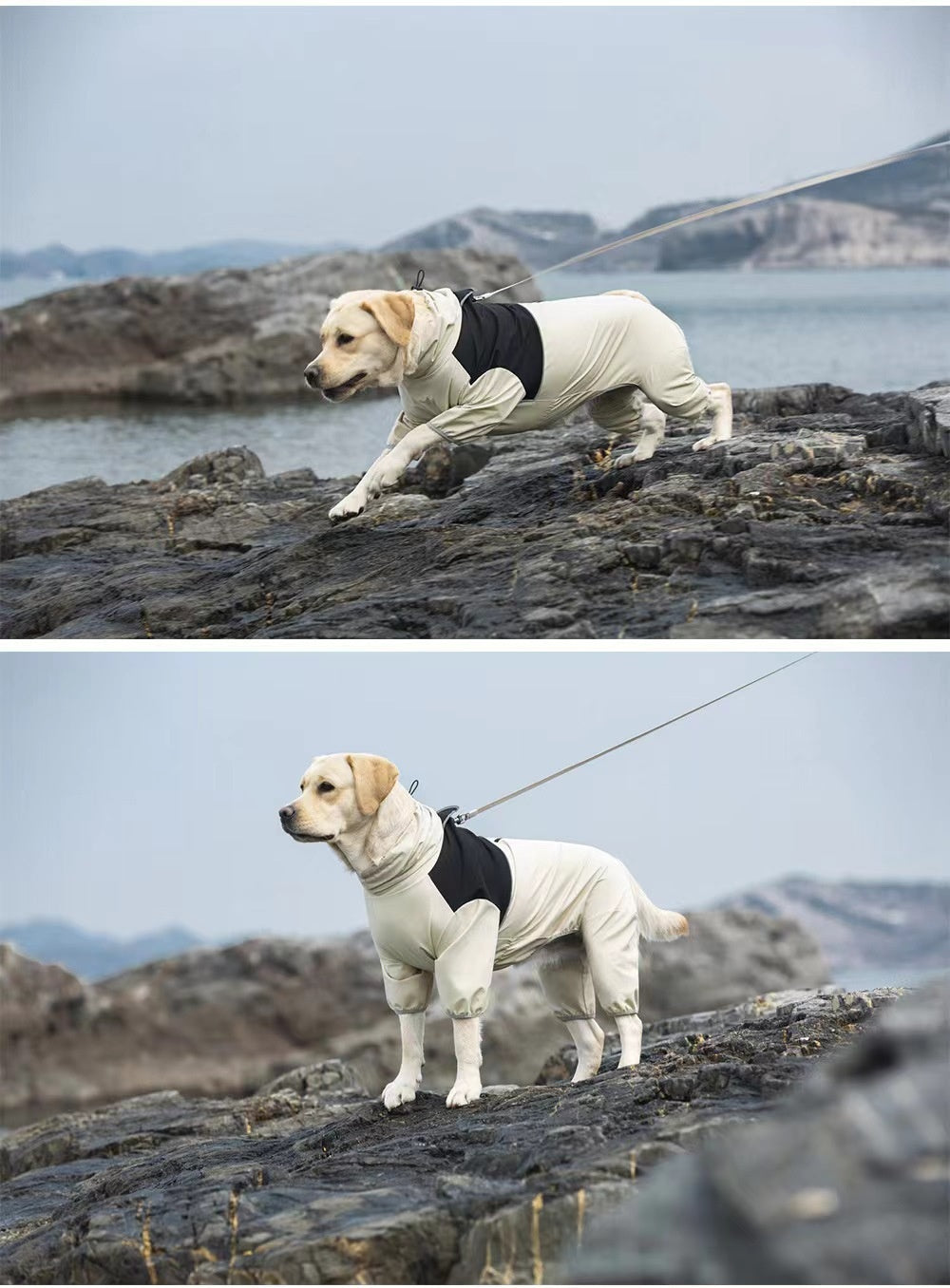 KFX-3343933 Waterproof and Windproof Shell Jacket for Dogs - Available in Yellow, Black, Milky White, Sizes XL to 8XL