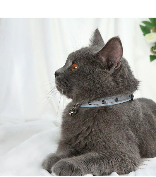 KFX-3345341 Stylish Anti-Bite Dog Collar for Medium Neck Sizes in Comfortable PU Material - Available in Blue, Black, Brown, and Apricot