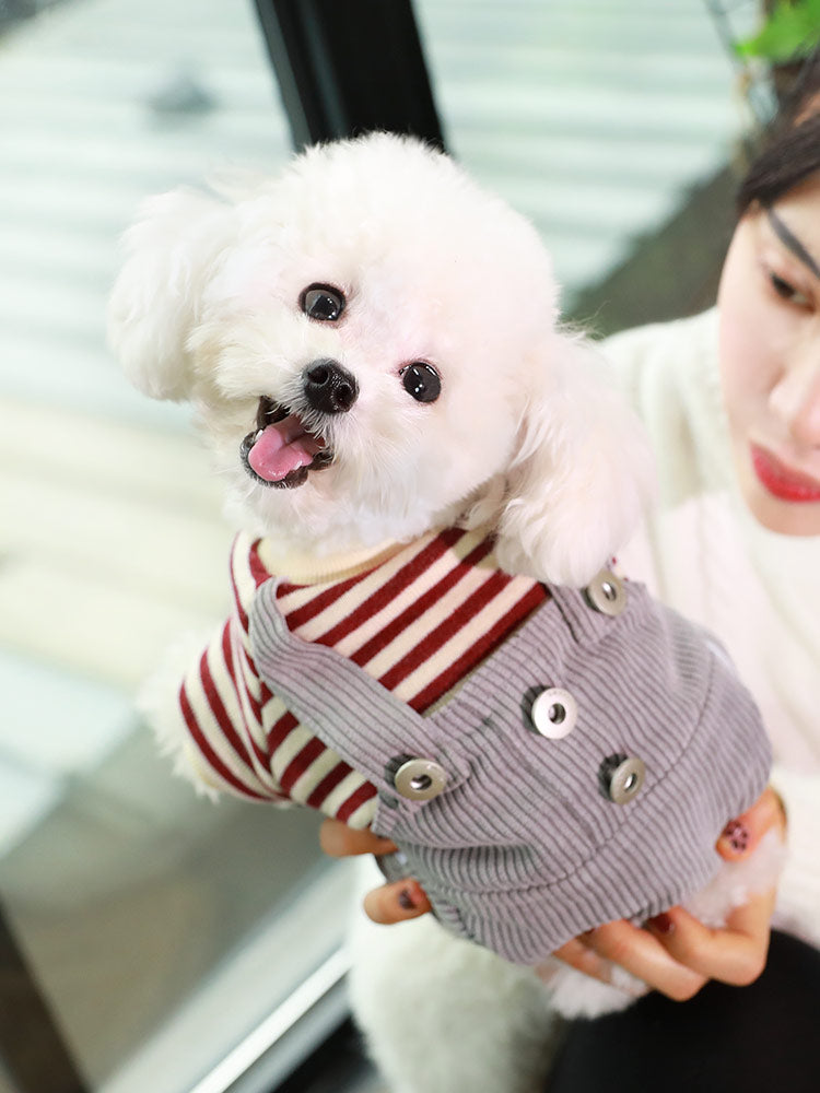 KFX-3347901 Khaki and Wine Red Striped Corduroy Four-Legged Dog Outfit for Autumn and Winter