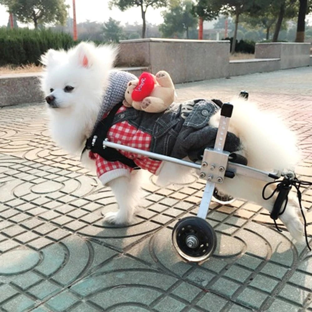 KFX-3350589 Adjustable Dog Wheelchair for Small Breeds - Perfect Support for Mobility Issues