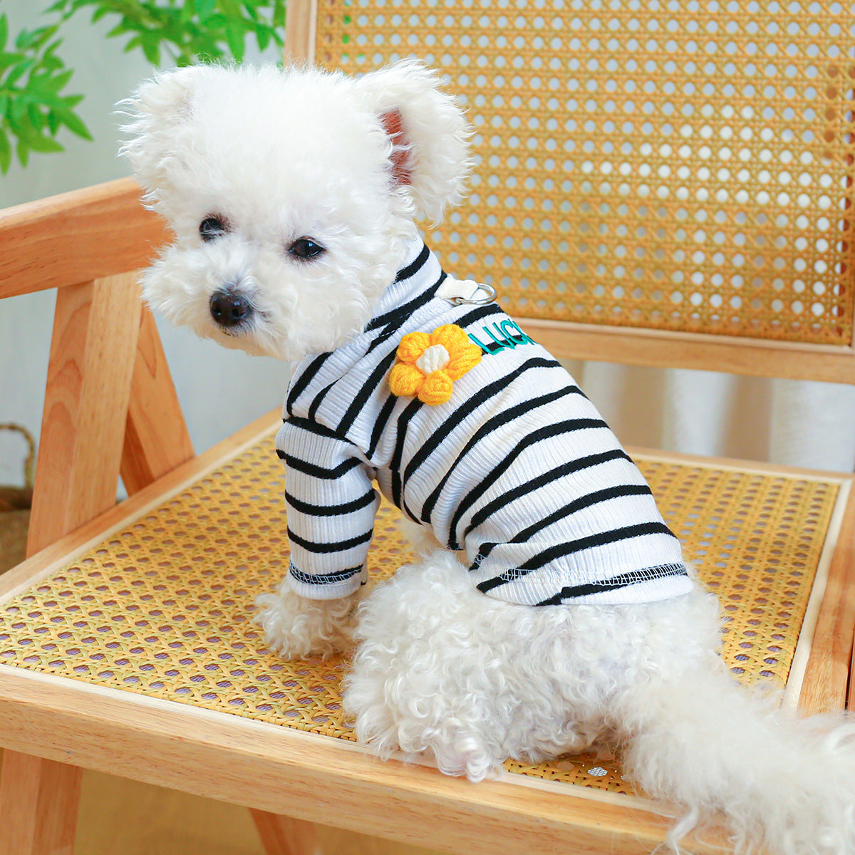 KFX-3353661 Cozy Fall and Winter Dog Clothing - Cute Tops and Undershirts in Various Colors and Styles