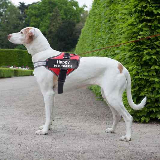 KFX-3354941 Reflective Adjustable No-Pull Dog Harness Vest - Breathable and Comfortable for Small to Large Dogs and Cats