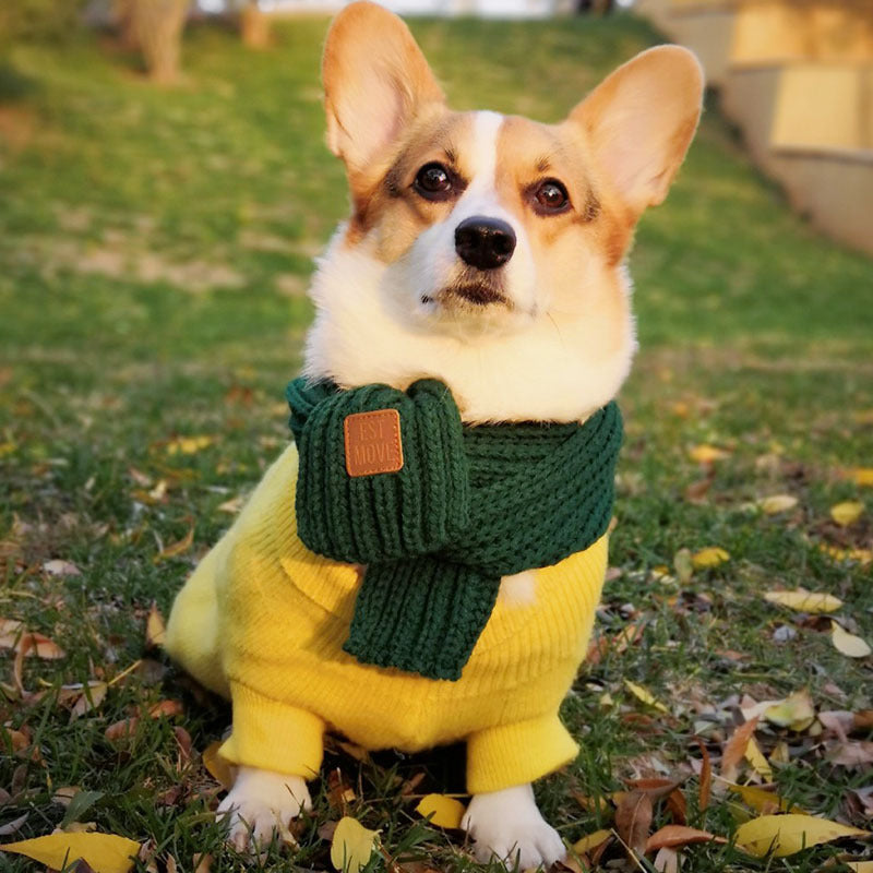 KFX-3355453 Colorful Wool Cartoon Dog Scarf for Stylish Pets - 120CM x 8CM
