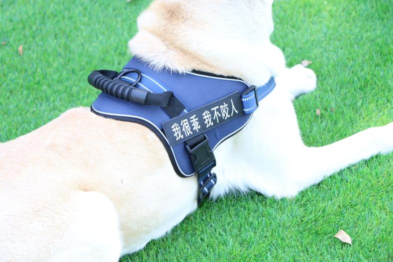 KFX-3358141 Adjustable Chest Strap Vest for Medium to Large Dogs - Sky Blue, Dark Blue, Red, Brown