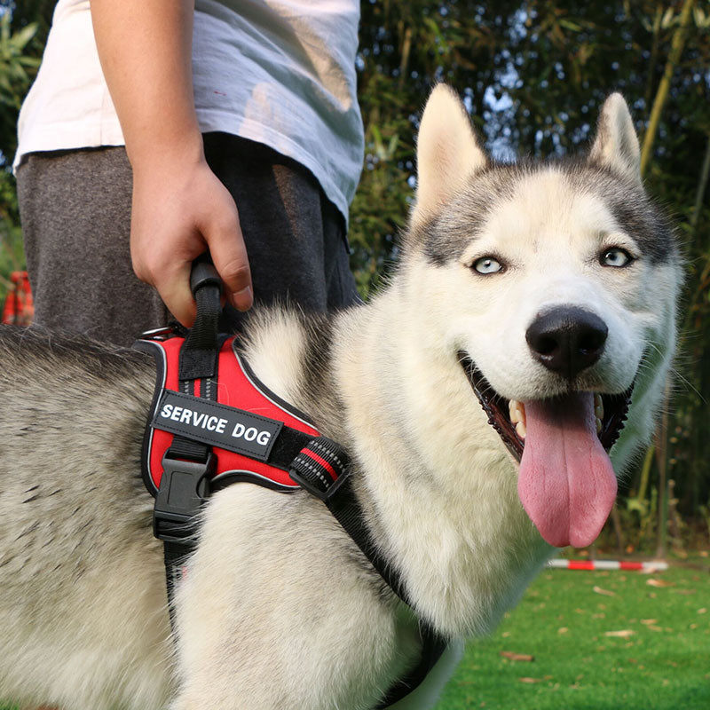 KFX-3358141 Adjustable Chest Strap Vest for Medium to Large Dogs - Sky Blue, Dark Blue, Red, Brown