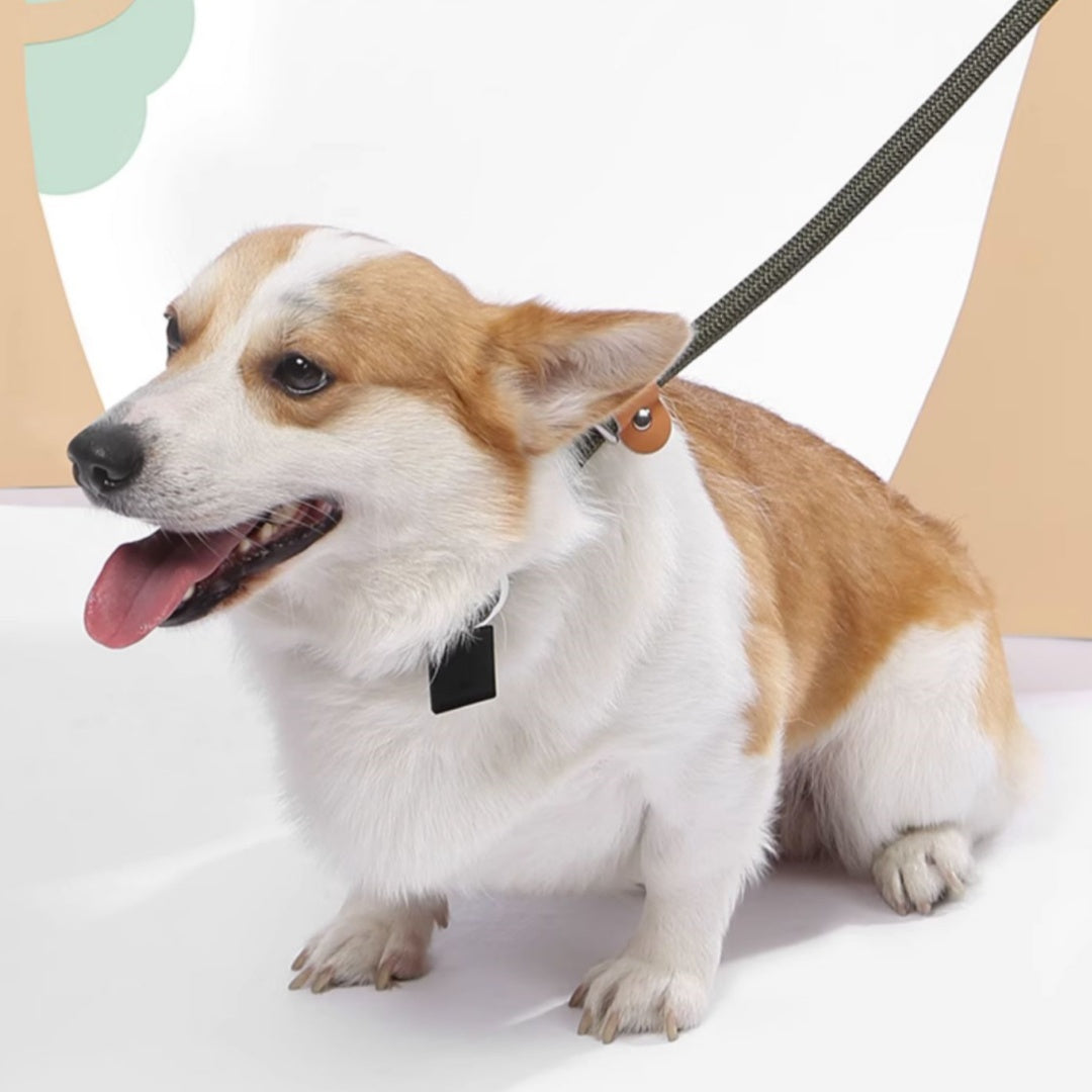 KFX-3358653 Nylon Woven Round P-Chain Leash for Large, Medium, and Small Dogs - 1.7M Length